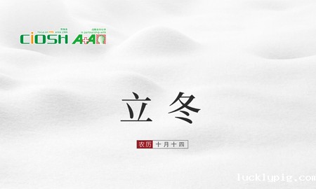 守护冬日里的温情